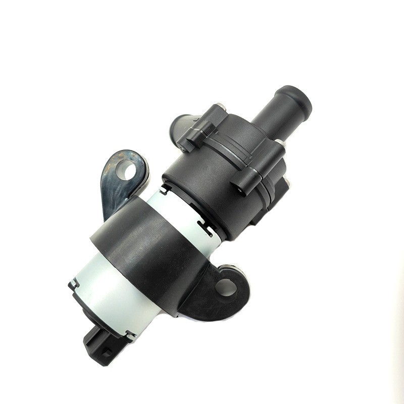 Auxiliary circulating water pump
