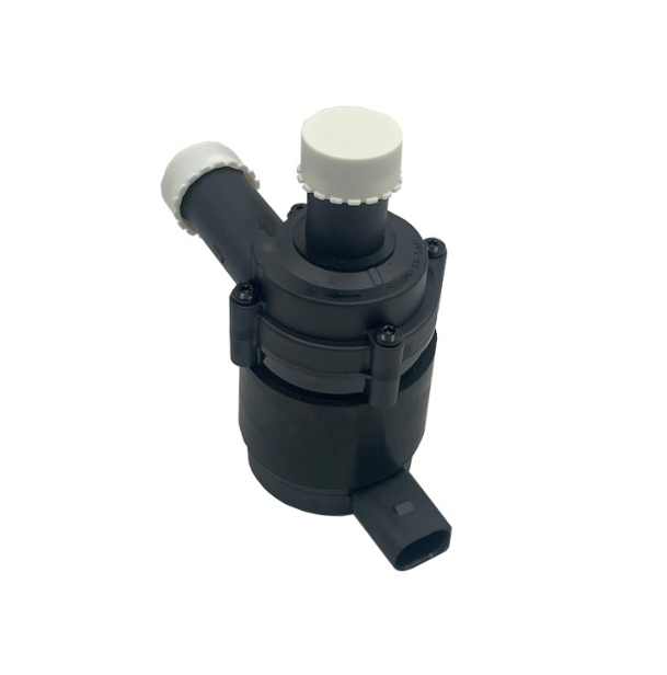 Auxiliary circulating water pump