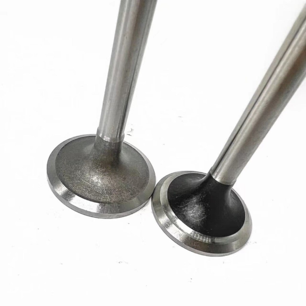 Intake and exhaust valves