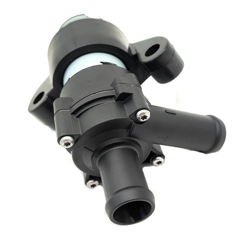 Auxiliary circulating water pump