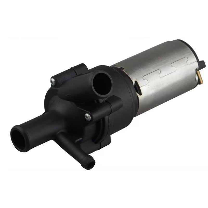 Auxiliary circulating water pump