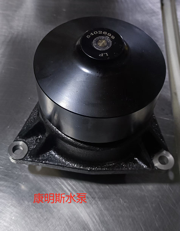 Cummins Pump
