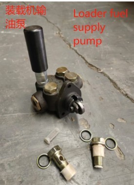 Loader fuel supply pump