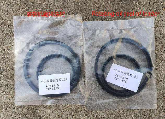 Rotating oil seal of loader