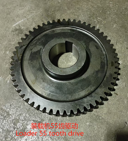 Loader 55 tooth drive