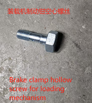 Brake clamp hollow screw for loading mechanism